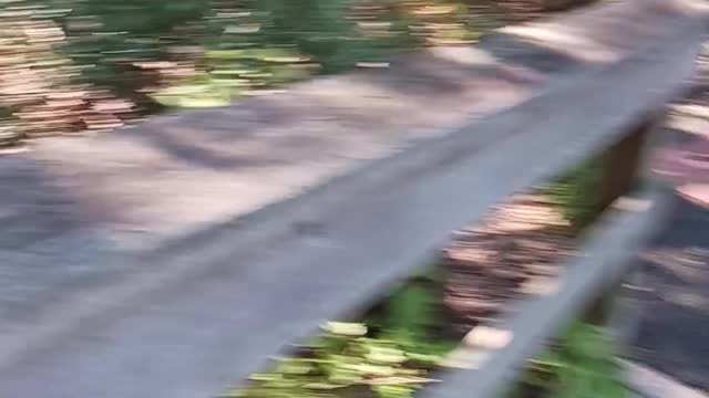 Sweet arrow lake park part6