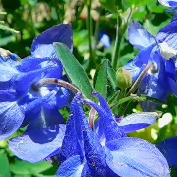 Recharge Your Mind and Body: How Relaxing This is Volume 70 #echoplanet