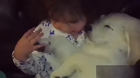 The child hugged the dog