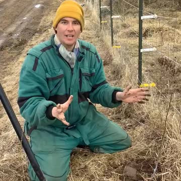 Bäume Pflanzen 10.04.2022