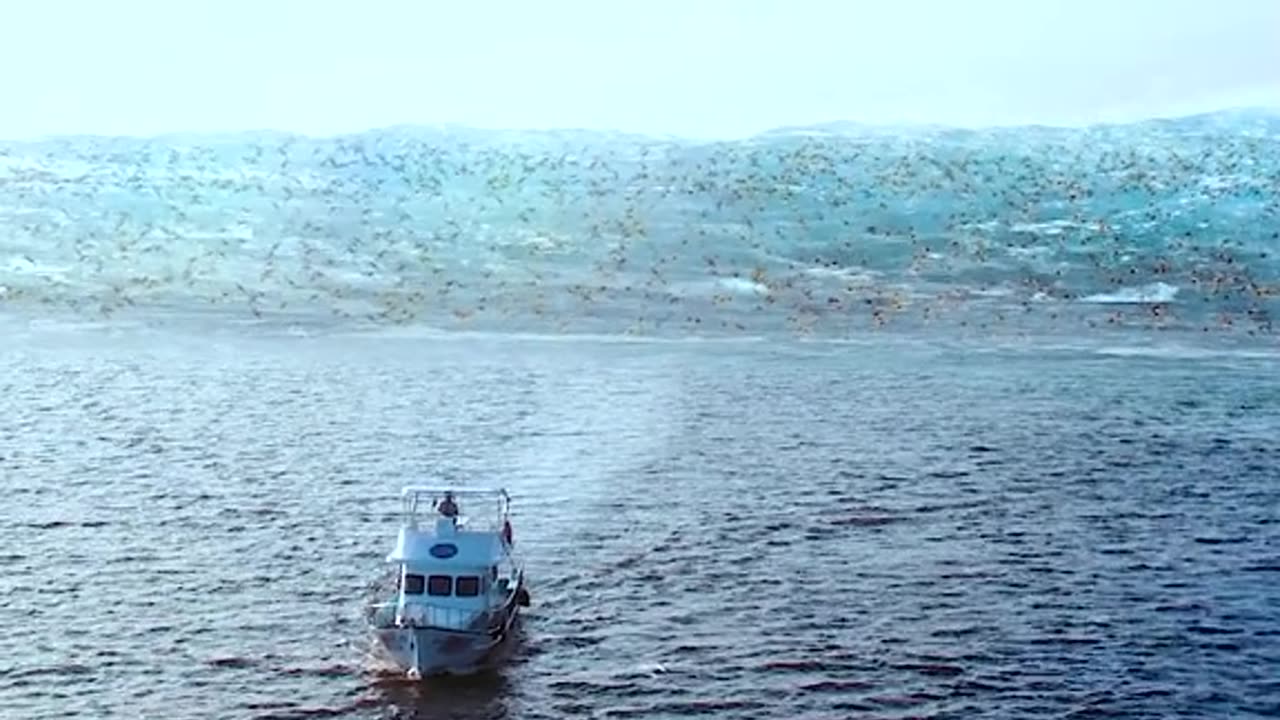 The SiFi Movie clip