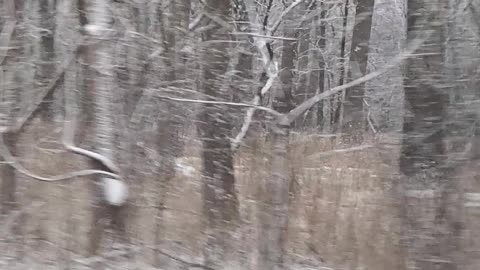 Snow already?