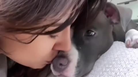 Cute Dog she love the an she kiss his dog loving Dog💞💞💞