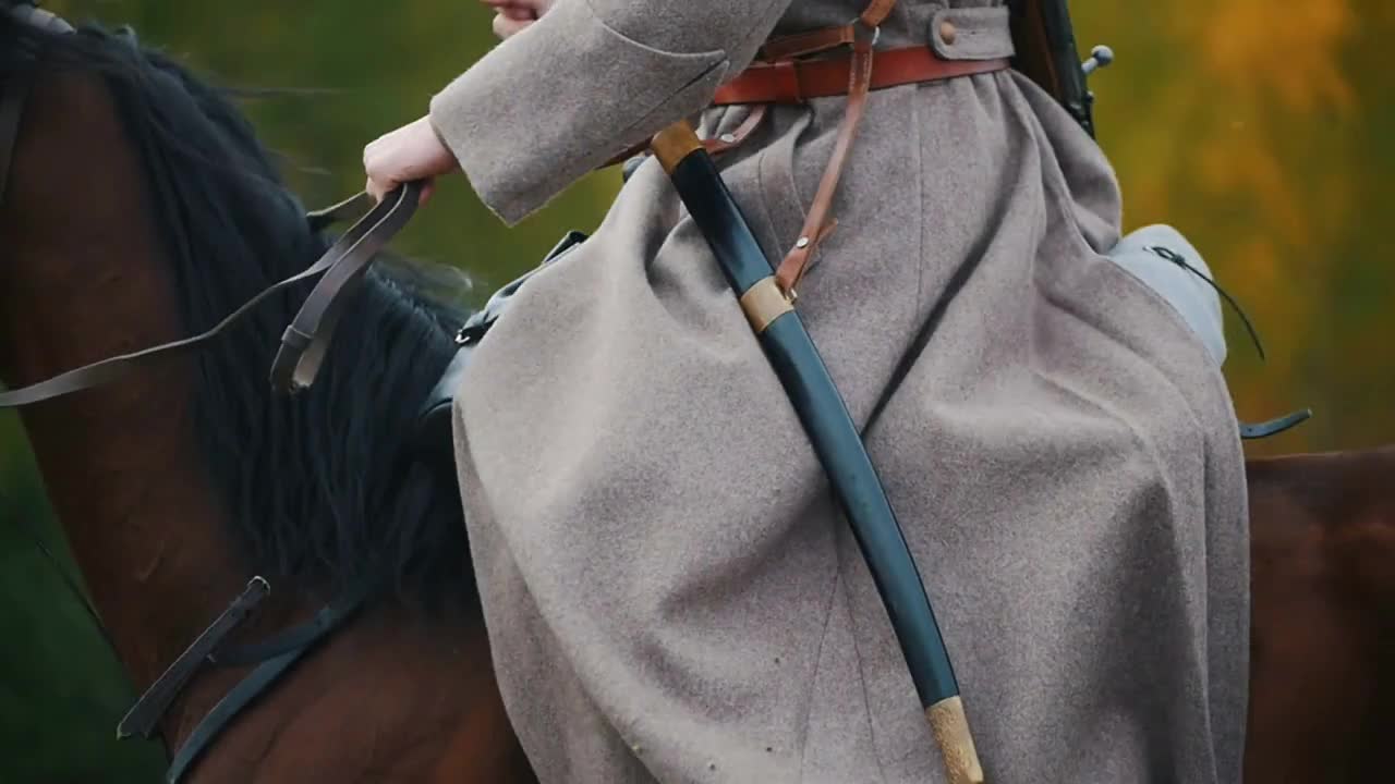 A military man with a sword riding on the horseback on a golden field