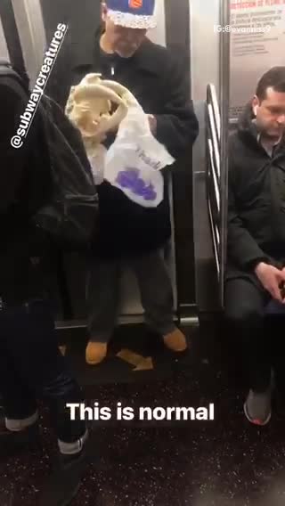 Man holds skull of sabertooth tiger on subway train
