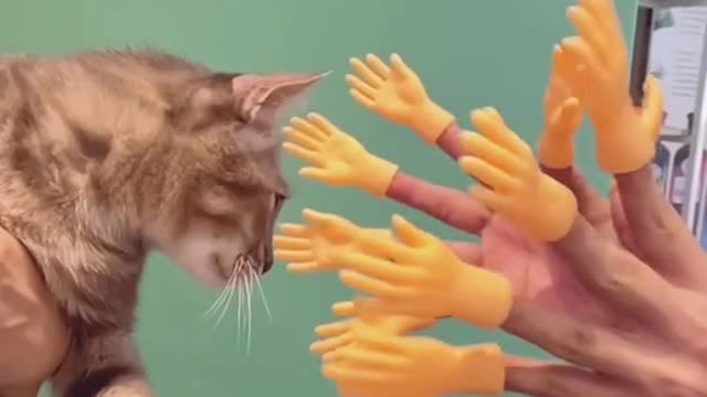 So many Hands To help them