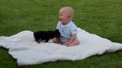 Cute Puppy vs Baby