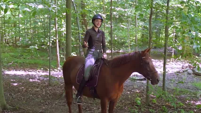 HOW TO RIDE A HORSE FOR BEGINNERS STEP BY STEP