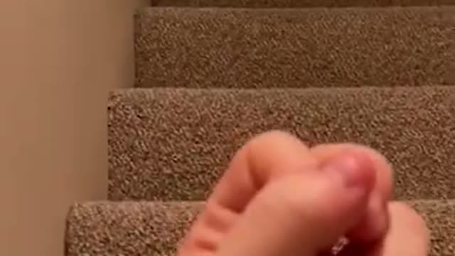 THE FUNNIEST ANIMALS #funnyanimals