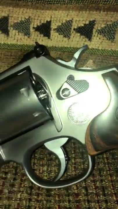 S&W 686 7 Shot Revolver