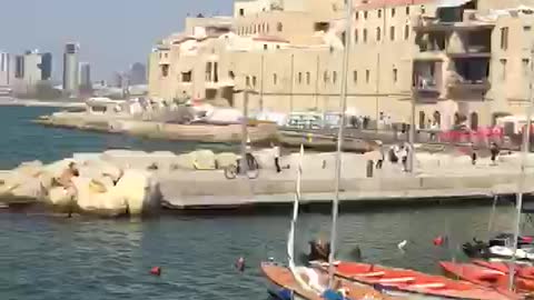 jaffa palestine 2020