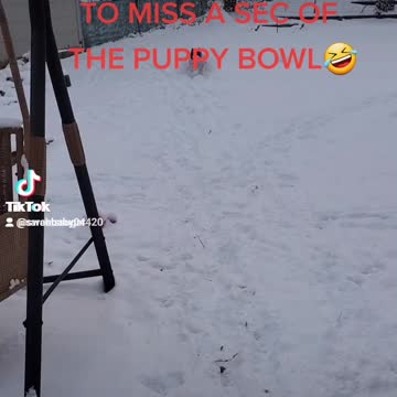 Didn't wanna miss the puppy bowl