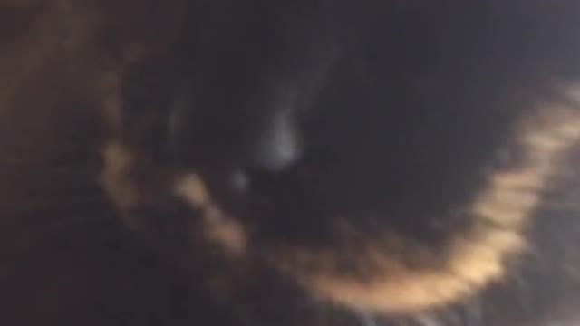 Funniest Animals Video - Funny Dogs And Cats - Try Not To Laugh Animals 2022