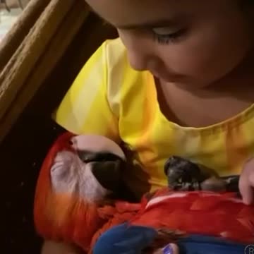 Anti-Loosh Video Number 51. LOOSH is real and bad. Explained below and watch the video!