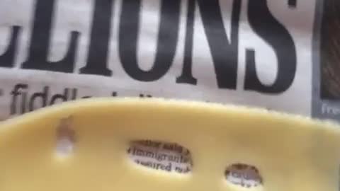 Collab copyright protection - cheese of truth