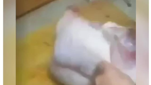 Graphene vaxed CHICKEN 4 months