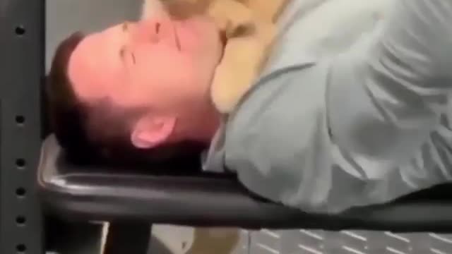 how the puppy want to join to do gym with our owner