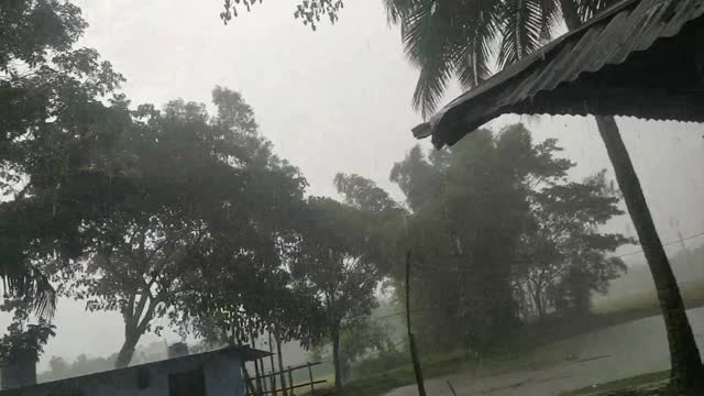 Cats and dogs rainfall in southern lap