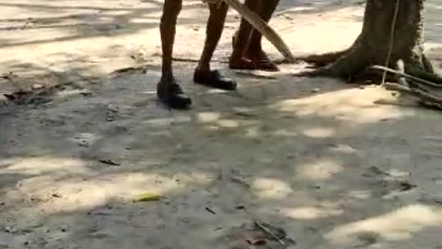 Playing cricket By Oldman. He is very happy