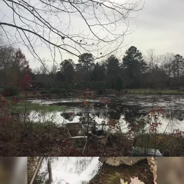 Nature Walk in Georgia