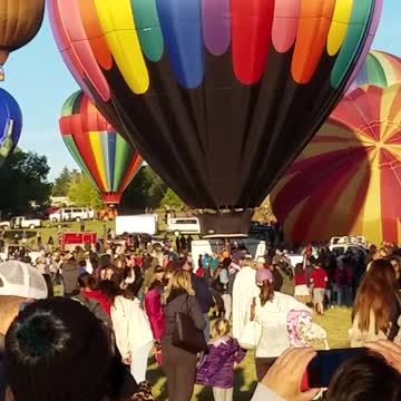 The Great Reno Balloon Race 2019