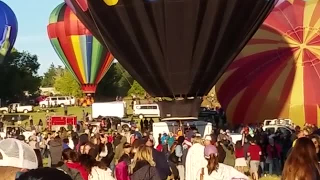 The Great Reno Balloon Race 2019