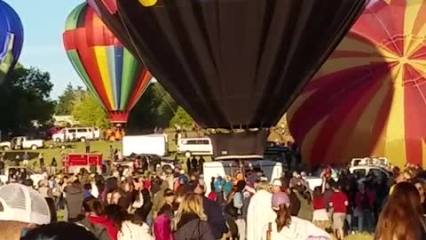 The Great Reno Balloon Race 2019