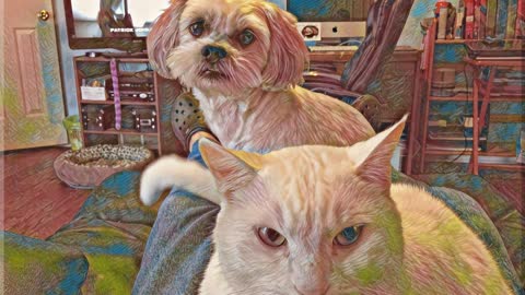 To All The Pets I've Loved