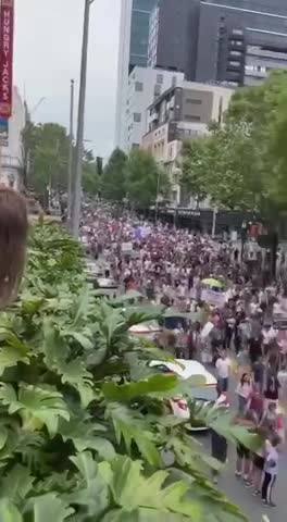 Melbourne freedom rally to say no to the commie andrews human right violations