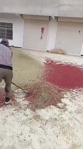 Sifting in the wind. Separating the wheat from the chaff.