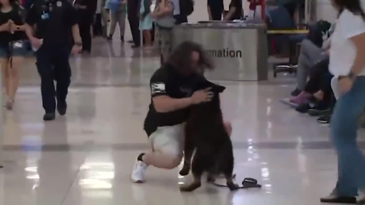 Animals Reunited With Owners