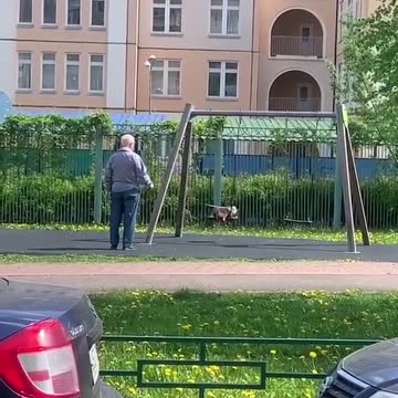 Ven a un abuelito complaciendo a su gatito que le pide que no deje de empujarlo en el columpio