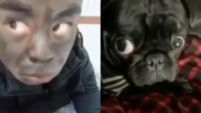 Nagaland Funny video | Nagamese Funny videos | #3