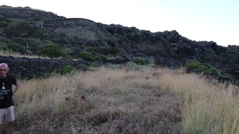 Agave tequilana Pantelleria
