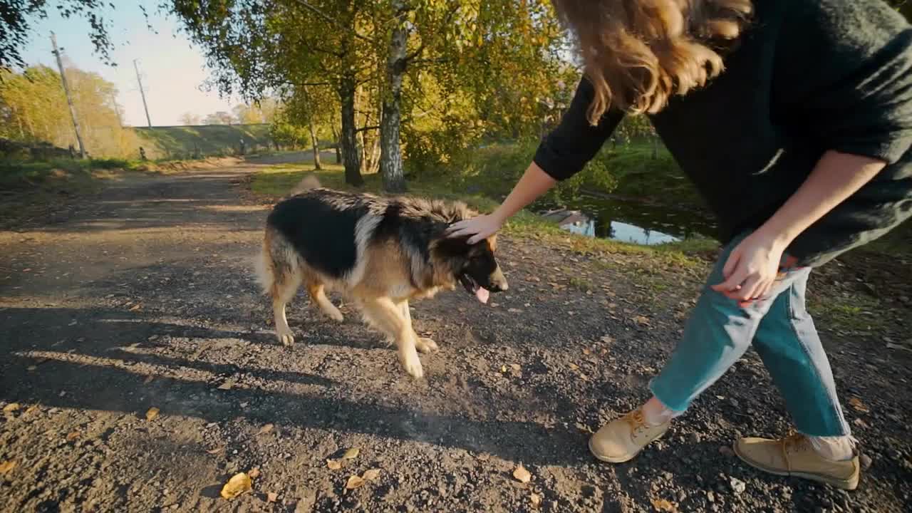 Young woman plays with big dog outdoors