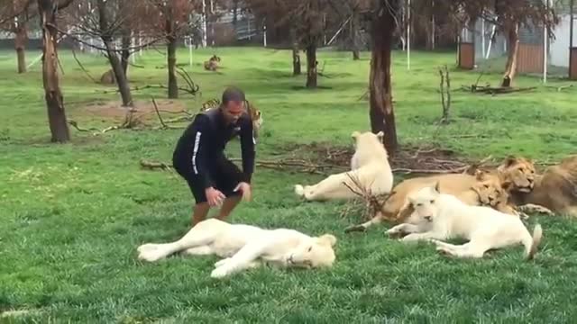 human life saved by animals| viral videos😱