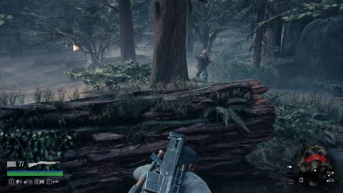 Days Gone - Nose Down, They Feed Ya Quest Walkthrough