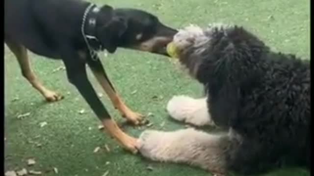 Wer ist der Gewinner ???