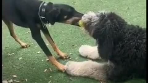 Wer ist der Gewinner ???