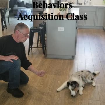 Baxter shaping the Lure.