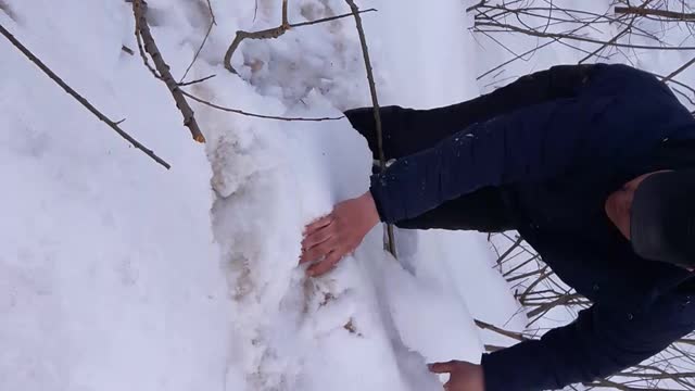 Russia, winter, with his father in the woods