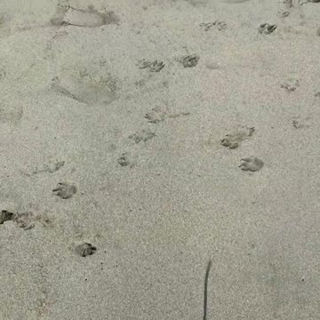 My View video #1 20201224 The Beach