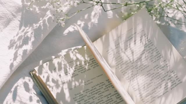 cute book in a charming atmosphere