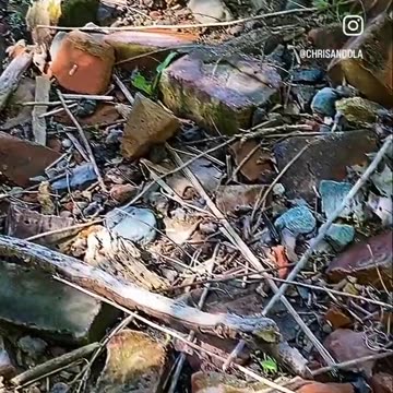 BRICKS FROM FORMER BRICK FACTORY