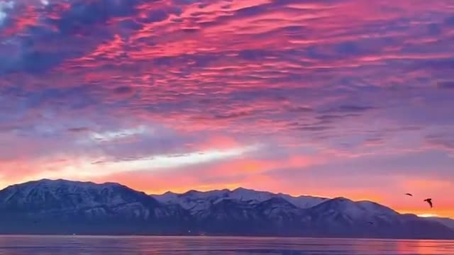Forever love the evening breeze and sunset twilight