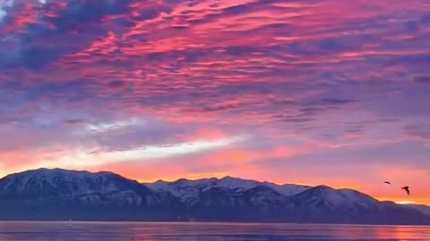 Forever love the evening breeze and sunset twilight