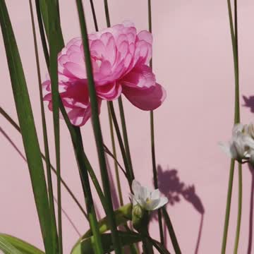 Blooming Flower In Plants