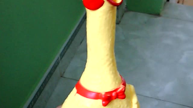 chicken cry