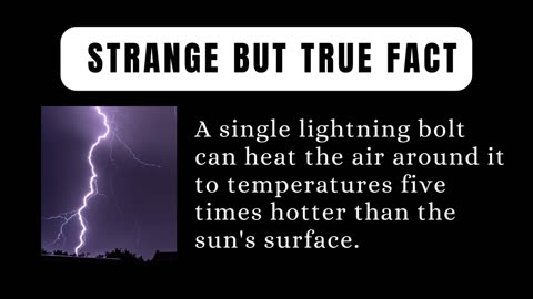 Lightning Bolt Fact