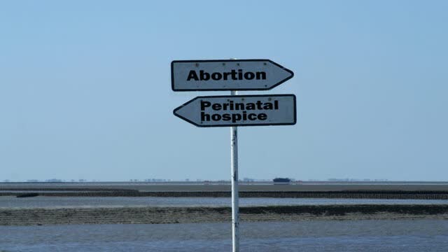 The_Edwards_Notebook-Abortion_or_Nothing